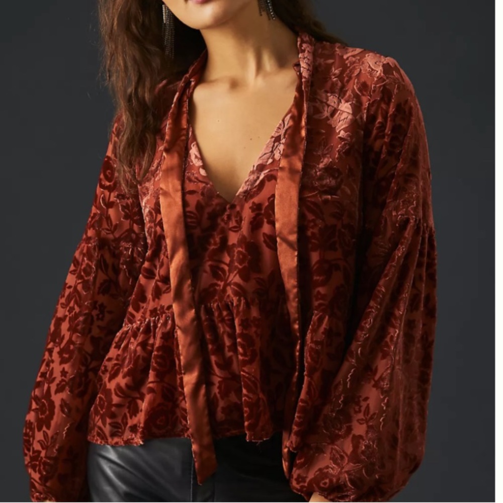 Anthropologie Velvet Burnout Tie Neck Blouse Size Small Long Balloon Sleeves
